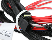 Load image into Gallery viewer, Injector Driver Harness