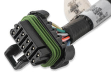 Load image into Gallery viewer, Ford Coyote Ti-VCT Coil Harness (2015.5-2017)