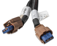Load image into Gallery viewer, Ford Coyote Ti-VCT Coil Harness (2015.5-2017)