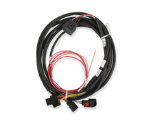 Load image into Gallery viewer, Holley EFI Ford GT500 and 3V Drive-by-Wire Throttle Body Harness