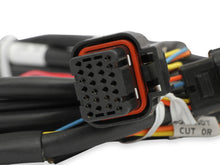 Load image into Gallery viewer, Holley EFI Ford GT500 and 3V Drive-by-Wire Throttle Body Harness