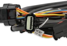 Load image into Gallery viewer, Holley EFI Ford GT500 and 3V Drive-by-Wire Throttle Body Harness