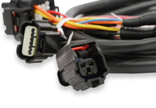 Load image into Gallery viewer, Holley EFI Ford GT500 and 3V Drive-by-Wire Throttle Body Harness