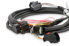 Load image into Gallery viewer, Holley EFI Ford GT500 and 3V Drive-by-Wire Throttle Body Harness