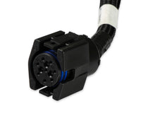 Load image into Gallery viewer, Holley EFI Transmission Control Harness - Chrysler 46RE