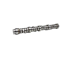 Load image into Gallery viewer, COMP Cams Stage 1 LST Hydraulic Roller Camshaft for 03-10 Ford Powerstroke 6.0/6.4L 435-300-13