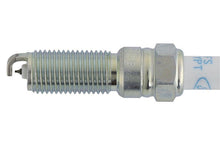 Load image into Gallery viewer, Ford Racing Performance 5.0L VDE Coyote Cold Spark Plug Set M-12405-50VDE