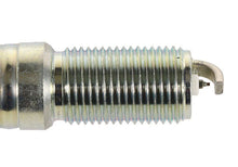 Load image into Gallery viewer, Ford Performance Parts Ford Racing 10-17 Flex 3.5L EcoBoost Cold Spark Plug Set
