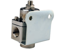 Load image into Gallery viewer, Aeromotive Platinum Series SS Adjustable, 3/8'' NPT Regulator