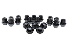 Load image into Gallery viewer, Ford Performance Parts Ford Racing 15-18 Mustang Black Lug Nut Kit (20 Lug Nuts)