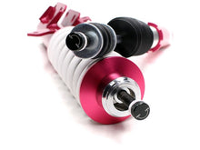 Load image into Gallery viewer, Godspeed Honda Fit (GE) 2009-14 Coilovers