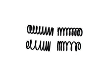 Load image into Gallery viewer, Ford Performance Parts Ford Racing 1979-2004 Mustang Front/Rear Spring Kits
