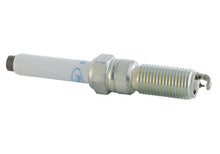 Load image into Gallery viewer, Ford Racing Performance 5.0L VDE Coyote Cold Spark Plug Set M-12405-50VDE