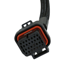 Load image into Gallery viewer, AEM VCU Universal LV Rear Harness