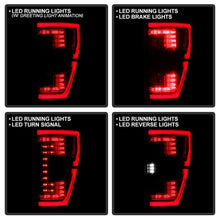 Load image into Gallery viewer, SPYDER 21-23 Ford F150 (Halogen w/ Blind Spot) Full LED Tail Lights - Black (ALT-YD-FF15021HALBS-BK) 5088789