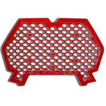 Load image into Gallery viewer, Billet Grill with Bumper Notch RZR XP 1000 / Turbo / S 2019+