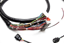 Load image into Gallery viewer, PREORDER Honda K-Series Plug &amp; Play Street-Spec Engine Wiring Harness – Version 3