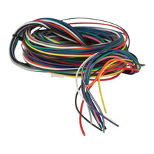 Load image into Gallery viewer, AEM Wiring Harness for V2 Controller w/ Multi Input