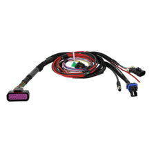 Load image into Gallery viewer, Sniper 2 EFI PDM Main Harness