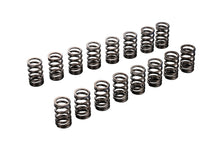 Load image into Gallery viewer, Tomei Valve Springs Set
