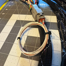 Load image into Gallery viewer, B/D-Series Engine Harness – 96-99 Acura Integra | Complete Swap Kit | VTI StreetSpec