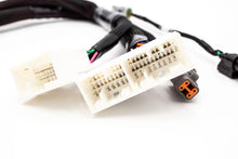 Load image into Gallery viewer, Haltech Elite 1000 / 1500 Plug &amp; Play Adapter – 02-04 Honda K-Series RSX / EP3 | VTI