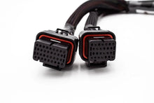 Load image into Gallery viewer, Haltech Elite 1000 / 1500 Plug &amp; Play Adapter – 02-04 Honda K-Series RSX / EP3 | VTI