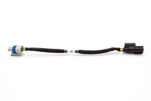 Load image into Gallery viewer, Haltech Elite 1000 / 1500 Plug &amp; Play Adapter – 02-04 Honda K-Series RSX / EP3 | VTI