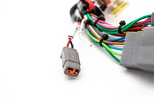 Load image into Gallery viewer, Haltech Elite 550 / 750 Plug &amp; Play Adapter – Honda OBD1 B / D / H-Series | VTI