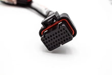 Load image into Gallery viewer, Haltech Elite 550 / 750 Plug &amp; Play Adapter – Honda OBD1 B / D / H-Series | VTI