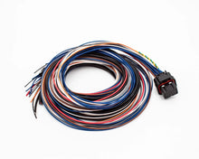 Load image into Gallery viewer, FuelTech FT450 / FT550 Unterminated Wiring Harness – A Connector