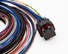 Load image into Gallery viewer, FuelTech FT450 / FT550 Unterminated Wiring Harness – A Connector