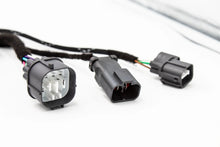 Load image into Gallery viewer, K-Series Chassis Subharness – 92-95 Honda Civic EG / 94-95 Integra K-Swap | VTI