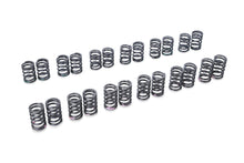 Load image into Gallery viewer, Tomei Valve Springs Set
