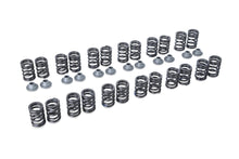 Load image into Gallery viewer, Tomei Valve Springs Set