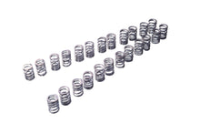 Load image into Gallery viewer, Tomei Valve Springs Set