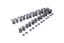 Load image into Gallery viewer, Tomei Valve Springs Set