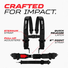 Load image into Gallery viewer, SFI Approved 2" and  3" 5 point Harness, Racing Harness