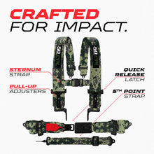 Load image into Gallery viewer, SFI Approved 2" and  3" 5 point Harness, Racing Harness