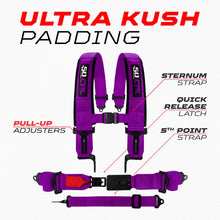 Load image into Gallery viewer, SFI Approved 2" and  3" 5 point Harness, Racing Harness