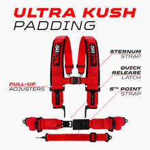 Load image into Gallery viewer, SFI Approved 2" and  3" 5 point Harness, Racing Harness