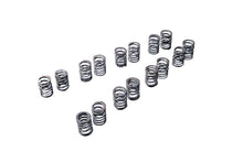 Load image into Gallery viewer, Tomei Valve Springs Set