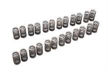 Load image into Gallery viewer, Tomei Valve Springs Set