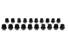 Load image into Gallery viewer, Ford Racing M12 x 1.5 Black Lug Nut - Set of 20 M-1012K-BSB