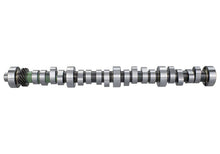 Load image into Gallery viewer, Ford Performance Parts Ford Racing Small Block V-8 Hydraulic Roller Tappet Camshafts