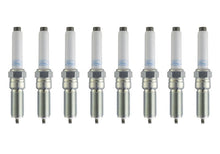 Load image into Gallery viewer, Ford Racing Performance 5.0L VDE Coyote Cold Spark Plug Set M-12405-50VDE