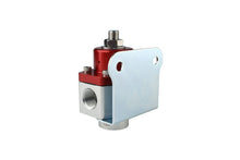 Load image into Gallery viewer, Aeromotive SS Adjustable, 3/8'' NPT Regulator