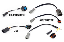 Load image into Gallery viewer, Haltech NEXUS Rebel LS Gen IV 6-Pin DBW Throttle/EV6 Injectors/Manual Transmission