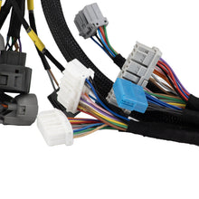 Load image into Gallery viewer, OBD2 Budget D &amp; B Series Tucked Engine Harness Civic Integra B16 B18 B20 D16 D15