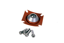 Load image into Gallery viewer, Aeromotive Diaphragm A2000 Repair Kit, Fuel Pump